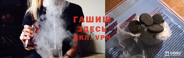 мяу мяу мука Абаза