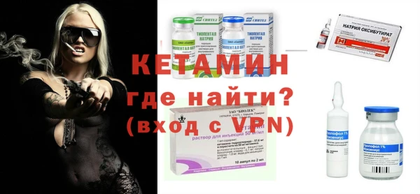 сатива Покачи