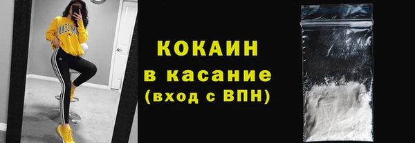 сатива Покачи